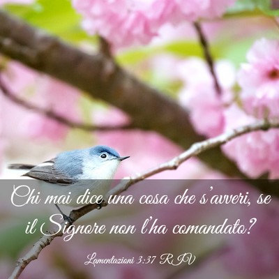 Picture 03 - Lamentazioni 3:37 RIV - Chi mai dice una cosa che s’avveri, se il - Bible Verse Picture