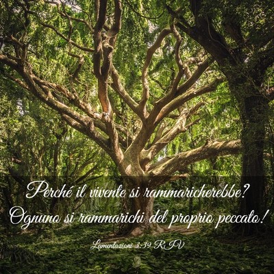 Picture 03 - Lamentazioni 3:39 RIV - Perché il vivente si rammaricherebbe? Ognuno si - Bible Verse Picture