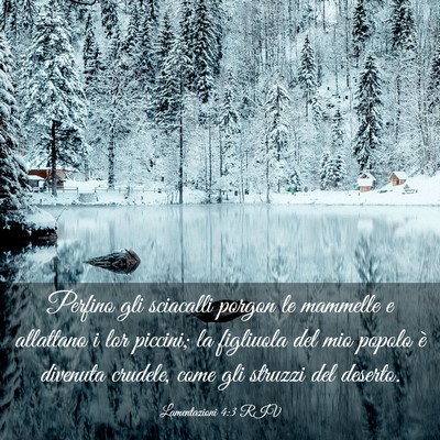 Picture 03 - Lamentazioni 4:3 RIV - Perfino gli sciacalli porgon le mammelle e - Bible Verse Picture