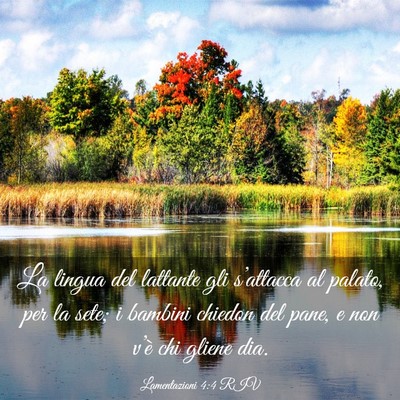 Picture 03 - Lamentazioni 4:4 RIV - La lingua del lattante gli s’attacca al palato, - Bible Verse Picture
