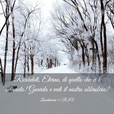 Picture 03 - Lamentazioni 5:1 RIV - Ricordati, Eterno, di quello che ci è avvenuto! - Bible Verse Picture