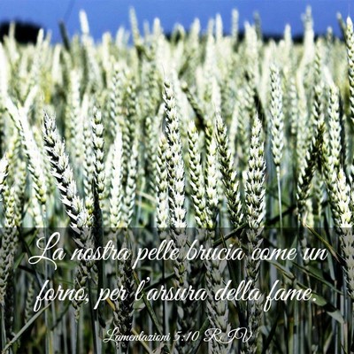 Picture 03 - Lamentazioni 5:10 RIV - La nostra pelle brucia come un forno, per - Bible Verse Picture