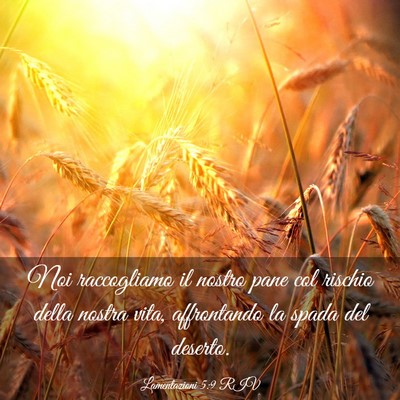 Picture 03 - Lamentazioni 5:9 RIV - Noi raccogliamo il nostro pane col rischio della - Bible Verse Picture