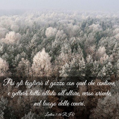 Picture 03 - Levitico 1:16 RIV - Poi gli toglierà il gozzo con quel che contiene, - Bible Verse Picture