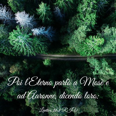 Picture 03 - Levitico 11:1 RIV - Poi l’Eterno parlò a Mosè e ad Aaronne, - Bible Verse Picture
