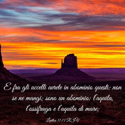 Picture 03 - Levitico 11:13 RIV - E fra gli uccelli avrete in abominio questi: non - Bible Verse Picture
