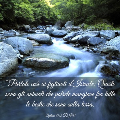 Picture 03 - Levitico 11:2 RIV - “Parlate così ai figliuoli d’Israele: Questi - Bible Verse Picture