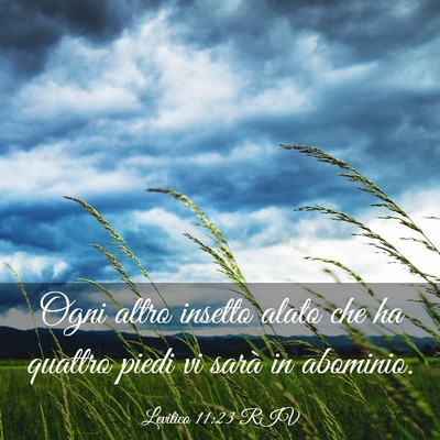 Picture 03 - Levitico 11:23 RIV - Ogni altro insetto alato che ha quattro piedi vi - Bible Verse Picture