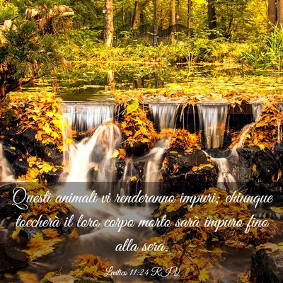 Picture 03 - Levitico 11:24 RIV - Questi animali vi renderanno impuri; chiunque - Bible Verse Picture
