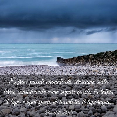 Picture 03 - Levitico 11:29 RIV - E fra i piccoli animali che strisciano sulla - Bible Verse Picture