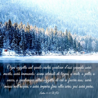 Picture 03 - Levitico 11:32 RIV - Ogni oggetto sul quale cadrà qualcun d’essi - Bible Verse Picture