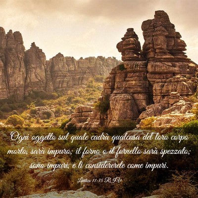 Picture 03 - Levitico 11:35 RIV - Ogni oggetto sul quale cadrà qualcosa del loro - Bible Verse Picture