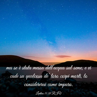 Picture 03 - Levitico 11:38 RIV - ma se è stata messa dell’acqua sul seme, e vi - Bible Verse Picture