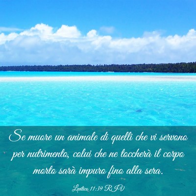 Picture 03 - Levitico 11:39 RIV - Se muore un animale di quelli che vi servono per - Bible Verse Picture