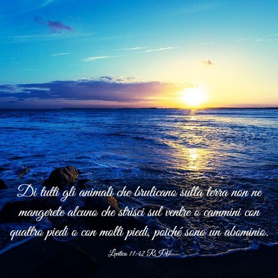 Picture 03 - Levitico 11:42 RIV - Di tutti gli animali che brulicano sulla terra - Bible Verse Picture