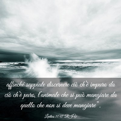 Picture 03 - Levitico 11:47 RIV - affinché sappiate discernere ciò ch’è impuro - Bible Verse Picture