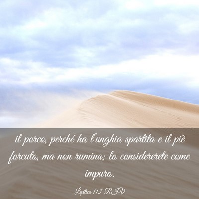 Picture 03 - Levitico 11:7 RIV - il porco, perché ha l’unghia spartita e il - Bible Verse Picture