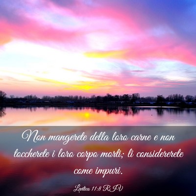 Picture 03 - Levitico 11:8 RIV - Non mangerete della loro carne e non toccherete i - Bible Verse Picture