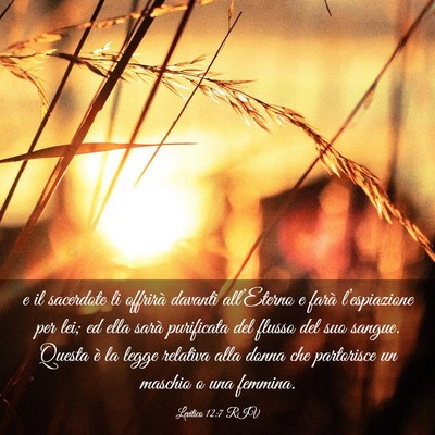 Picture 03 - Levitico 12:7 RIV - e il sacerdote li offrirà davanti all’Eterno e - Bible Verse Picture