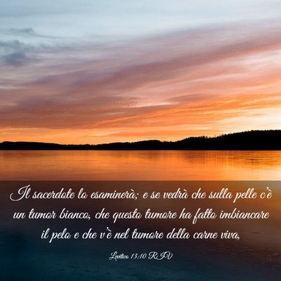Picture 03 - Levitico 13:10 RIV - Il sacerdote lo esaminerà; e se vedrà che sulla - Bible Verse Picture