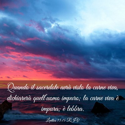 Picture 03 - Levitico 13:15 RIV - Quando il sacerdote avrà visto la carne viva, - Bible Verse Picture