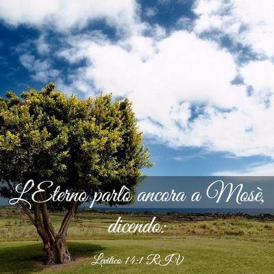 Picture 03 - Levitico 14:1 RIV - L’Eterno parlò ancora a Mosè, - Bible Verse Picture