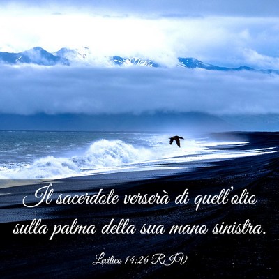 Picture 03 - Levitico 14:26 RIV - Il sacerdote verserà di quell’olio sulla palma - Bible Verse Picture