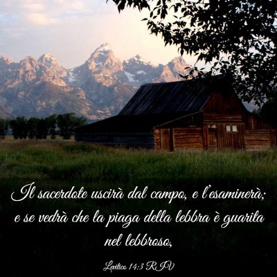 Picture 03 - Levitico 14:3 RIV - Il sacerdote uscirà dal campo, e l’esaminerà; - Bible Verse Picture