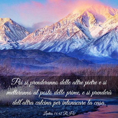 Picture 03 - Levitico 14:42 RIV - Poi si prenderanno delle altre pietre e si - Bible Verse Picture