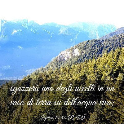 Picture 03 - Levitico 14:50 RIV - sgozzerà uno degli uccelli in un vaso di terra - Bible Verse Picture