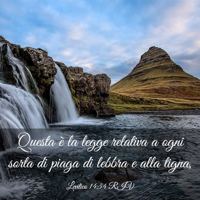 Picture 03 - Levitico 14:54 RIV - Questa è la legge relativa a ogni sorta di piaga - Bible Verse Picture