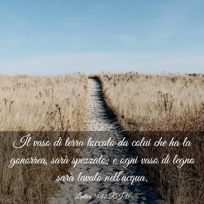 Picture 03 - Levitico 15:12 RIV - Il vaso di terra toccato da colui che ha la - Bible Verse Picture