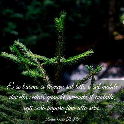 Picture 03 - Levitico 15:23 RIV - E se l’uomo si trovava sul letto o sul mobile - Bible Verse Picture