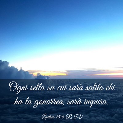 Picture 03 - Levitico 15:9 RIV - Ogni sella su cui sarà salito chi ha la - Bible Verse Picture