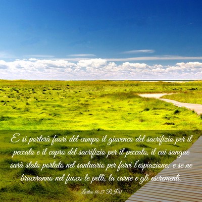 Picture 03 - Levitico 16:27 RIV - E si porterà fuori del campo il giovenco del - Bible Verse Picture