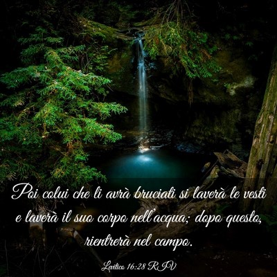 Picture 03 - Levitico 16:28 RIV - Poi colui che li avrà bruciati si laverà le - Bible Verse Picture