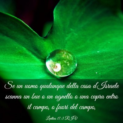 Picture 03 - Levitico 17:3 RIV - Se un uomo qualunque della casa d’Israele - Bible Verse Picture