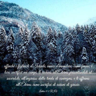 Picture 03 - Levitico 17:5 RIV - affinché i figliuoli d’Israele, invece - Bible Verse Picture