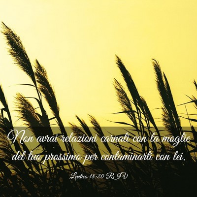 Picture 03 - Levitico 18:20 RIV - Non avrai relazioni carnali con la moglie del tuo - Bible Verse Picture