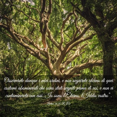 Picture 03 - Levitico 18:30 RIV - Osserverete dunque i miei ordini, e non seguirete - Bible Verse Picture