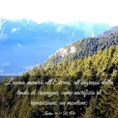 Picture 03 - Levitico 19:21 RIV - L’uomo menerà all’Eterno, all’ingresso - Bible Verse Picture