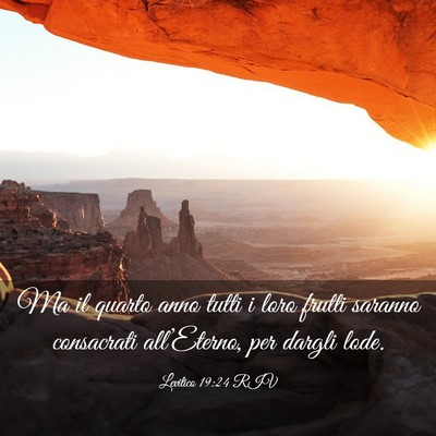 Picture 03 - Levitico 19:24 RIV - Ma il quarto anno tutti i loro frutti saranno - Bible Verse Picture