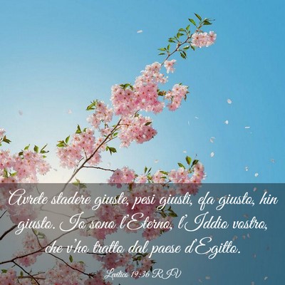 Picture 03 - Levitico 19:36 RIV - Avrete stadere giuste, pesi giusti, efa giusto, - Bible Verse Picture