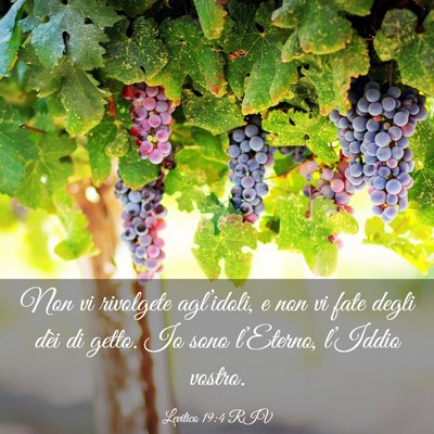 Picture 03 - Levitico 19:4 RIV - Non vi rivolgete agl’idoli, e non vi fate degli - Bible Verse Picture