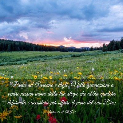 Picture 03 - Levitico 21:17 RIV - “Parla ad Aaronne e digli: Nelle generazioni a - Bible Verse Picture