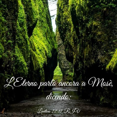 Picture 03 - Levitico 22:17 RIV - L’Eterno parlò ancora a Mosè, - Bible Verse Picture