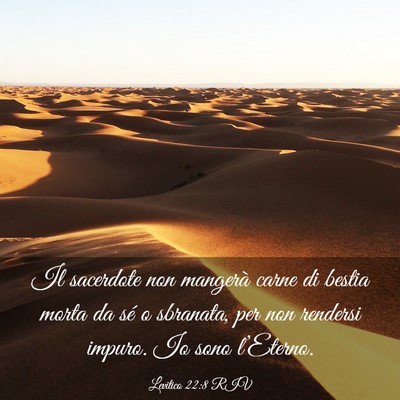 Picture 03 - Levitico 22:8 RIV - Il sacerdote non mangerà carne di bestia morta - Bible Verse Picture