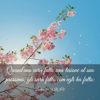 Picture 03 - Levitico 24:19 RIV - Quand’uno avrà fatto una lesione al suo - Bible Verse Picture