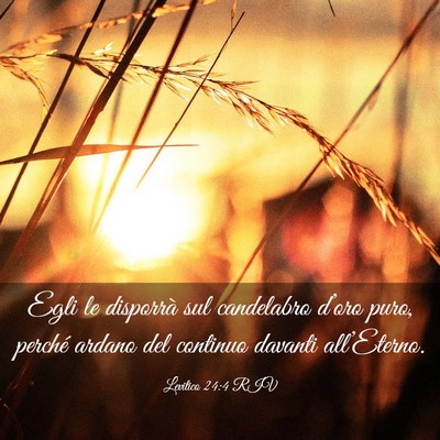 Picture 03 - Levitico 24:4 RIV - Egli le disporrà sul candelabro d’oro puro, - Bible Verse Picture