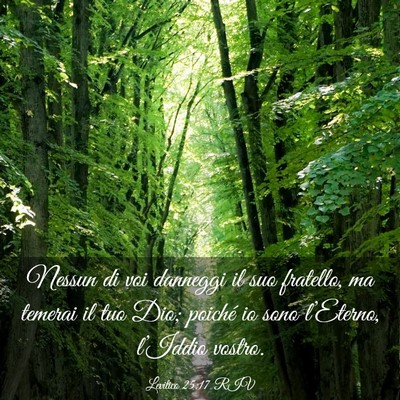 Picture 03 - Levitico 25:17 RIV - Nessun di voi danneggi il suo fratello, ma - Bible Verse Picture